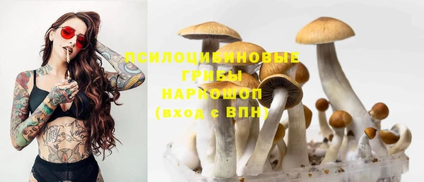 прущая мука Наволоки