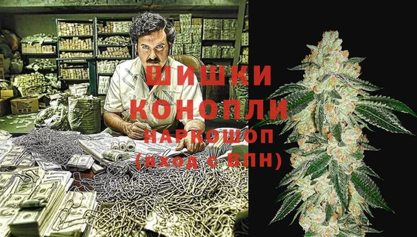 прущие грибы Навашино