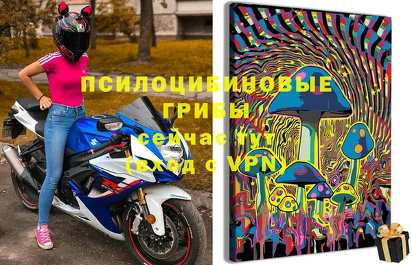 прущие грибы Навашино