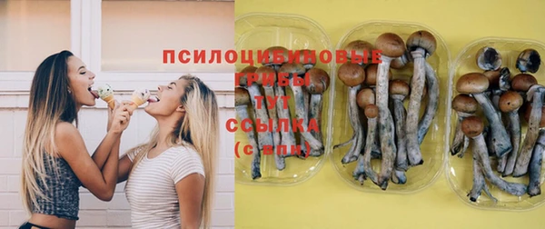 прущая мука Наволоки