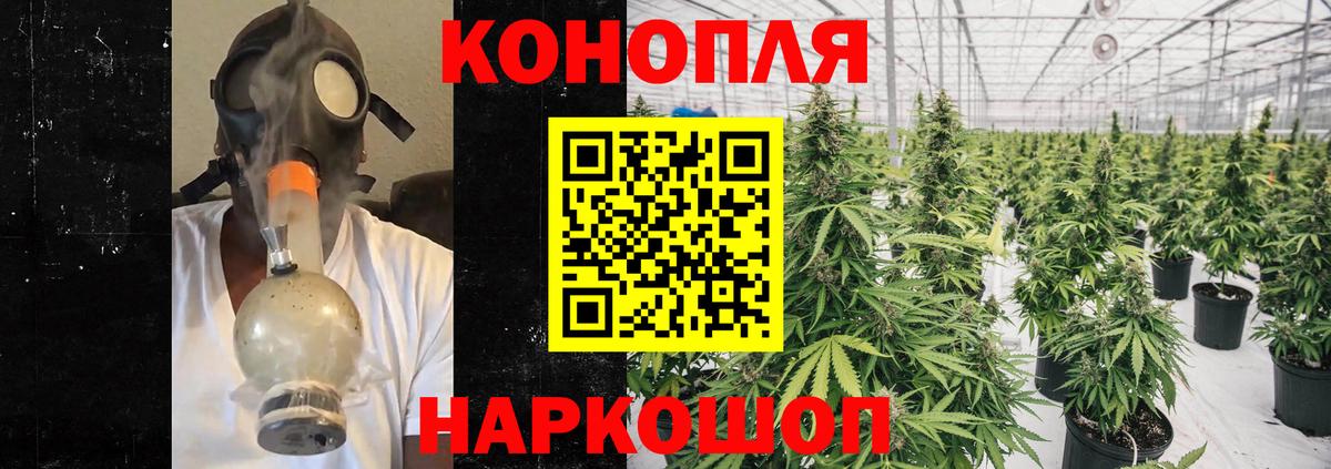 Конопля LSD WEED  Новоалександровск  Шишки марихуана конопля  Бошки марихуана марихуана 