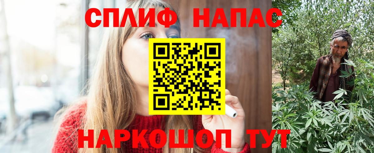 Конопля OG Kush Новоалександровск